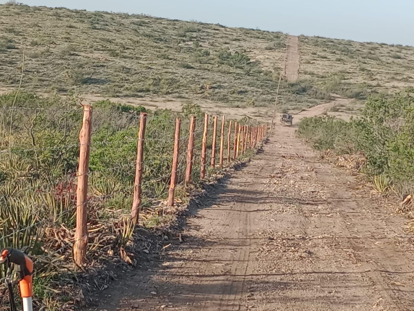 Cedar post barbed wire fence following the cleared line straight over the hill