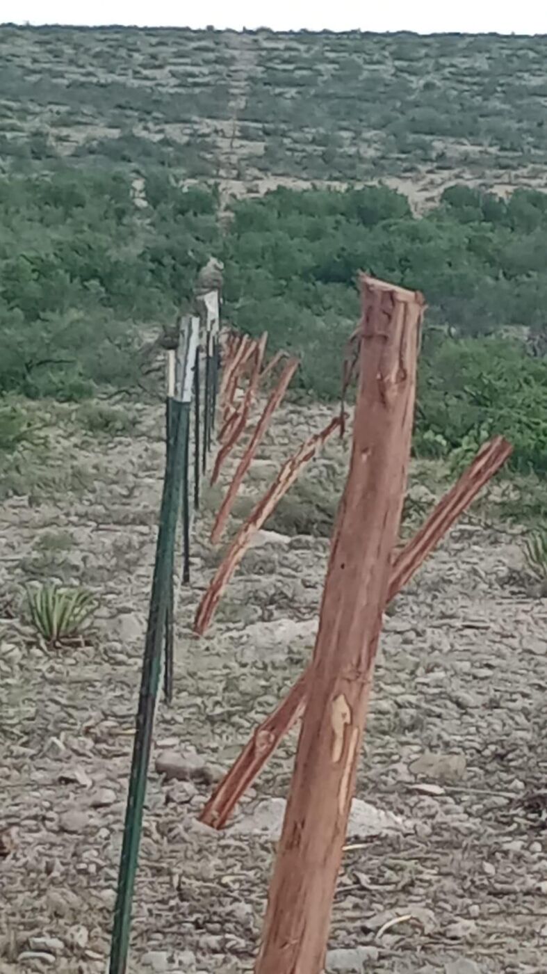 Cedar stay posts woven into a barbed wire fence line running up the hill