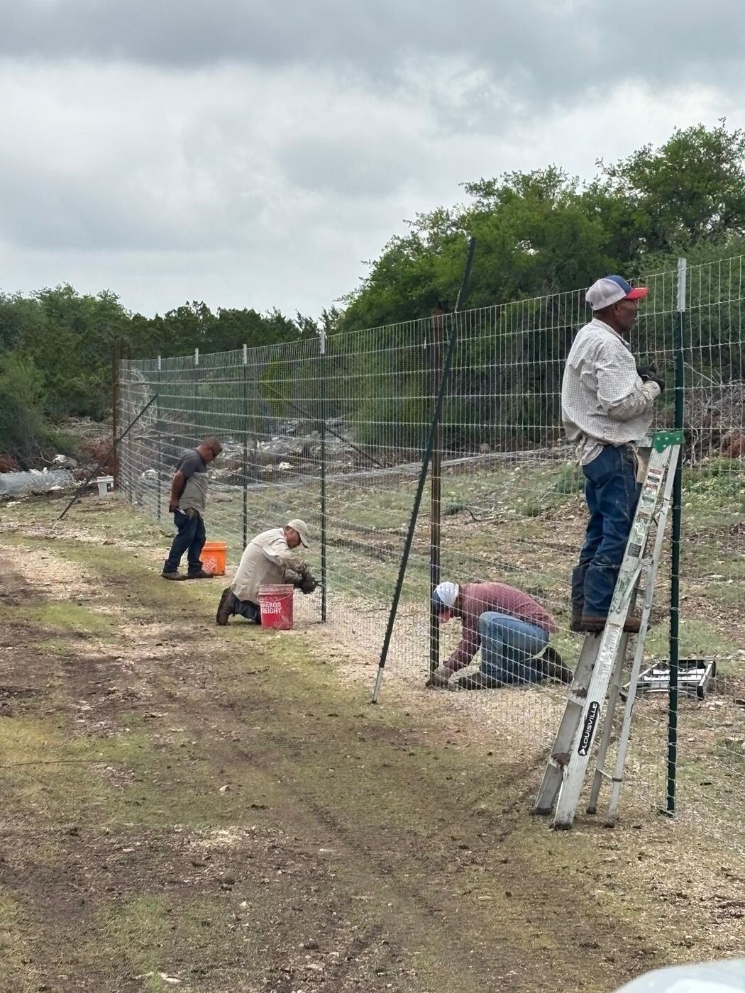Crew of five tying high game fence wire to posts