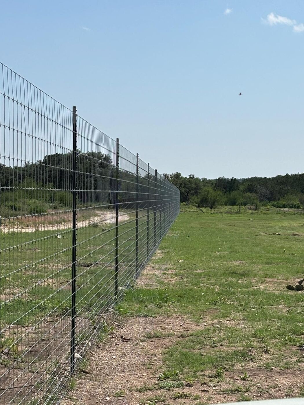 Finished high game-proof fence line stretching across green pasture