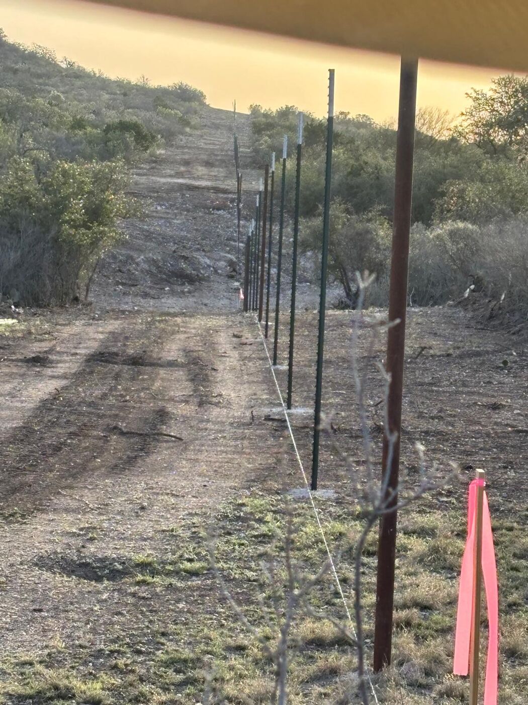 Line of freshly set fence posts running up a cleared hill at sunset